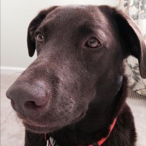 Meet your Posher, Christle